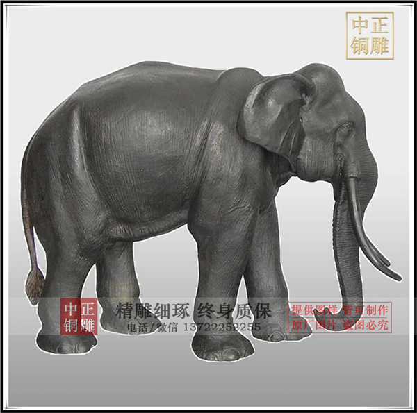 銅象圖片.jpg 銅象圖片.jpg