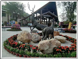 園林銅鹿雕塑 園林銅鹿雕塑