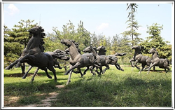 公園銅馬雕塑 公園銅馬雕塑